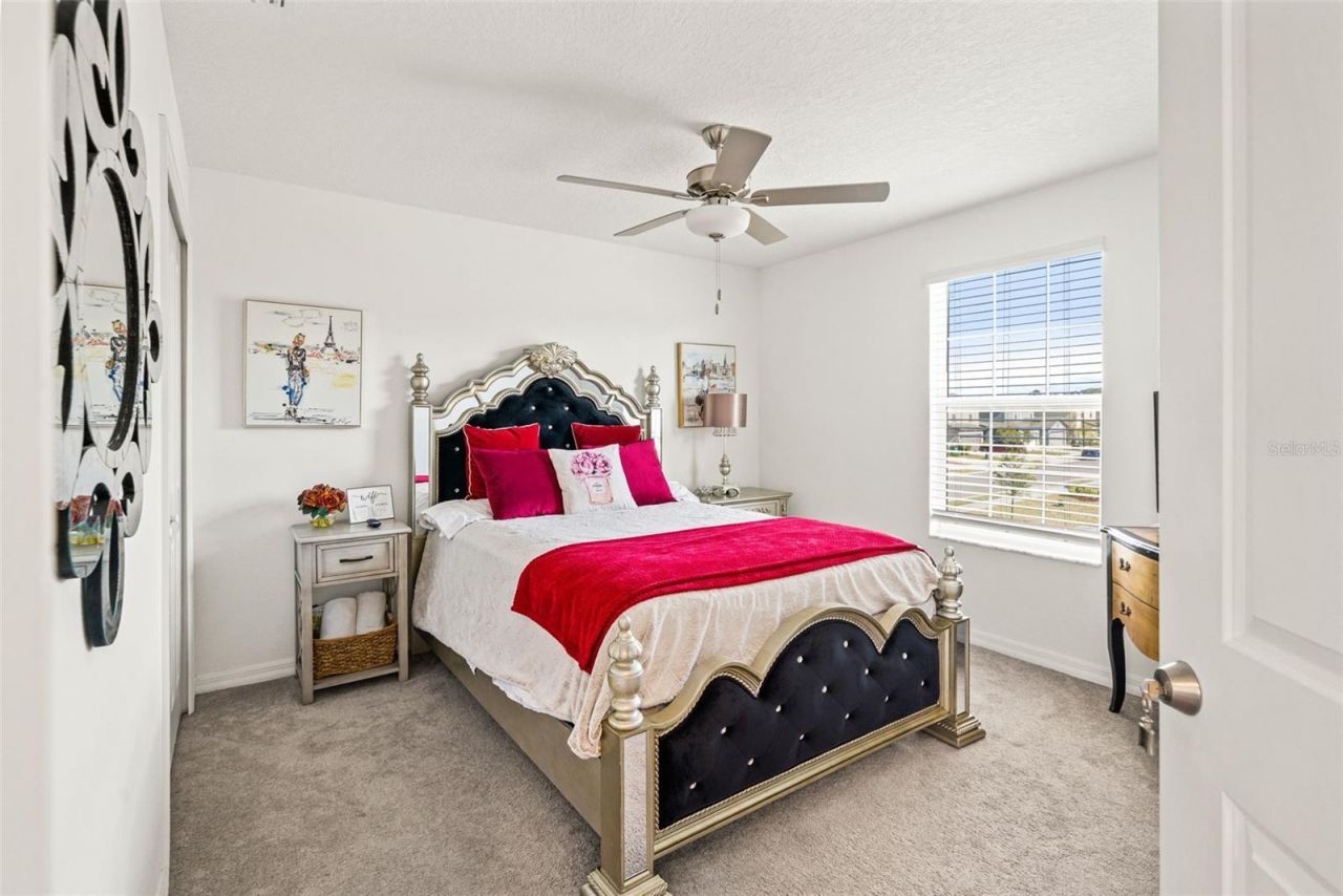 6744 Back Forty Loop, Zephyrhills, FL 33541 Photo