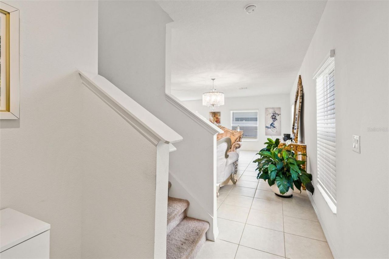 6744 Back Forty Loop, Zephyrhills, FL 33541 Photo