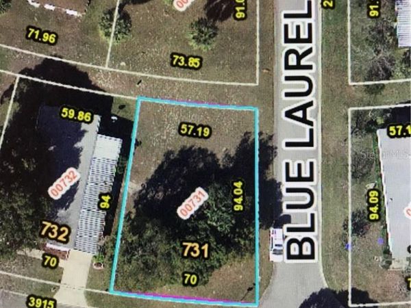 3907 COHEN DRIVE, Unit 731, ZELLWOOD, FL 32798