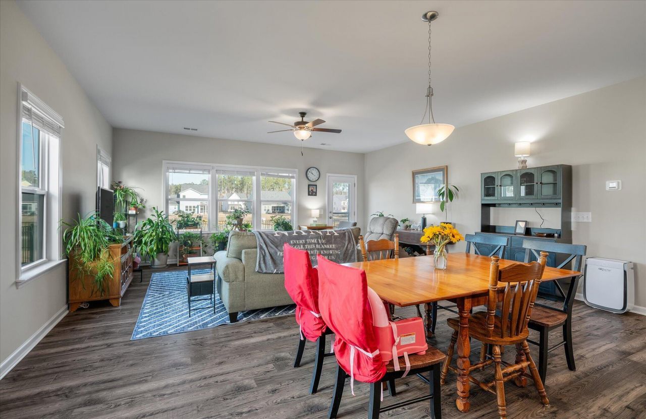 1033 Marsh Harrier Photo 10