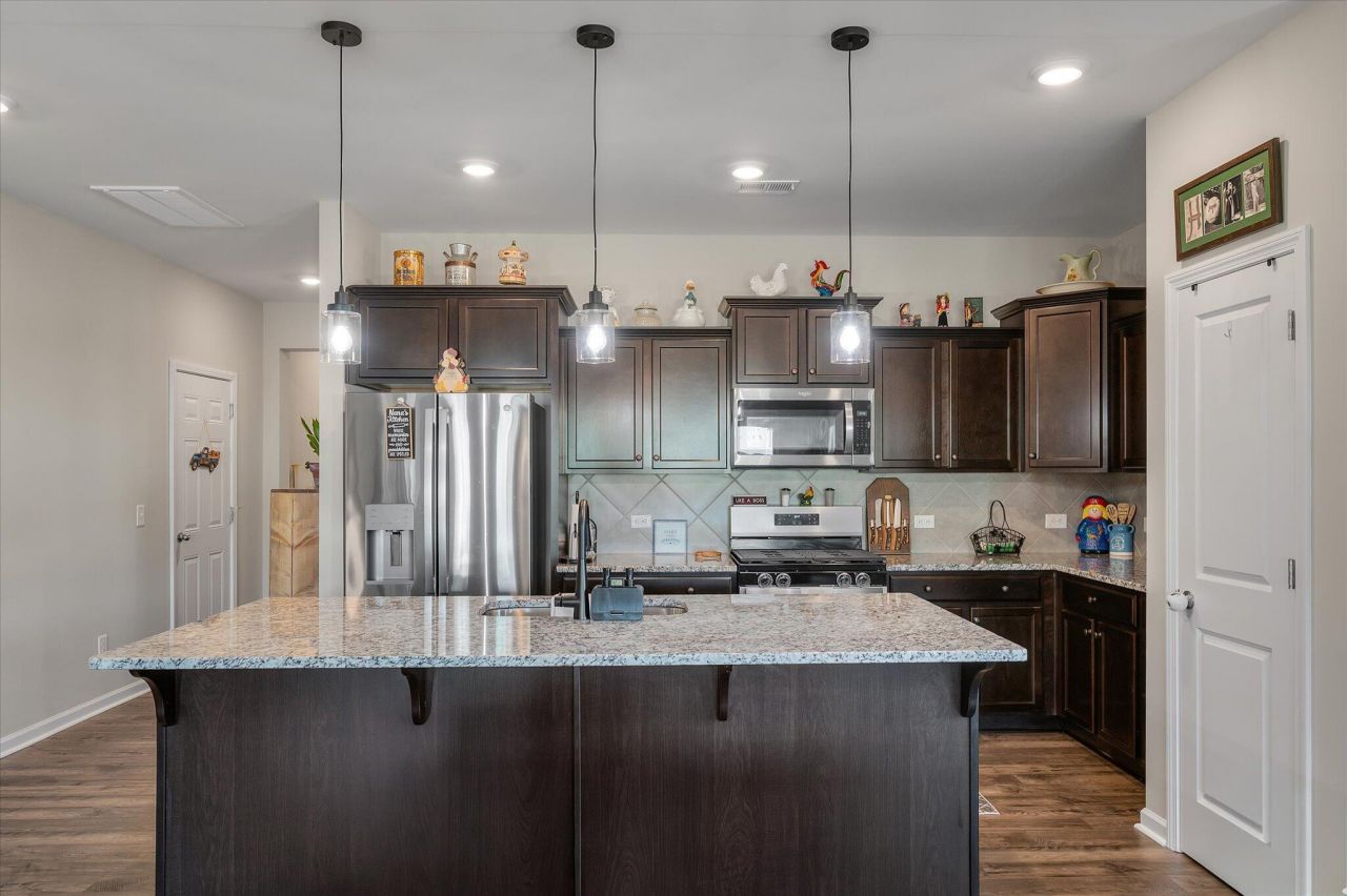 1033 Marsh Harrier Photo 14