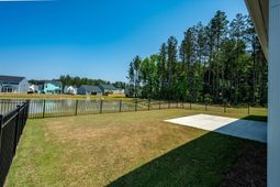 1033 Marsh Harrier photo 4