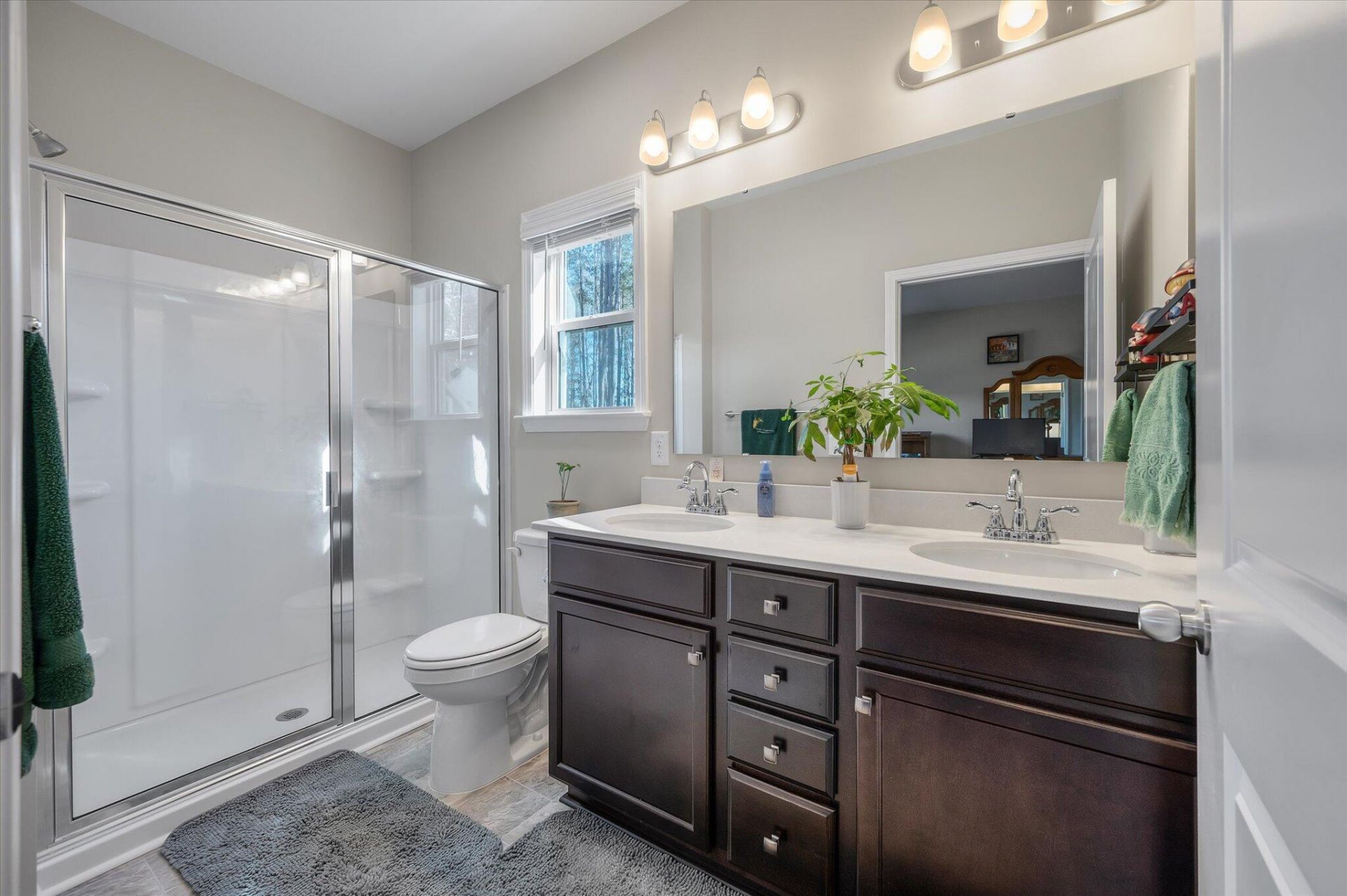 1033 Marsh Harrier Photo 21