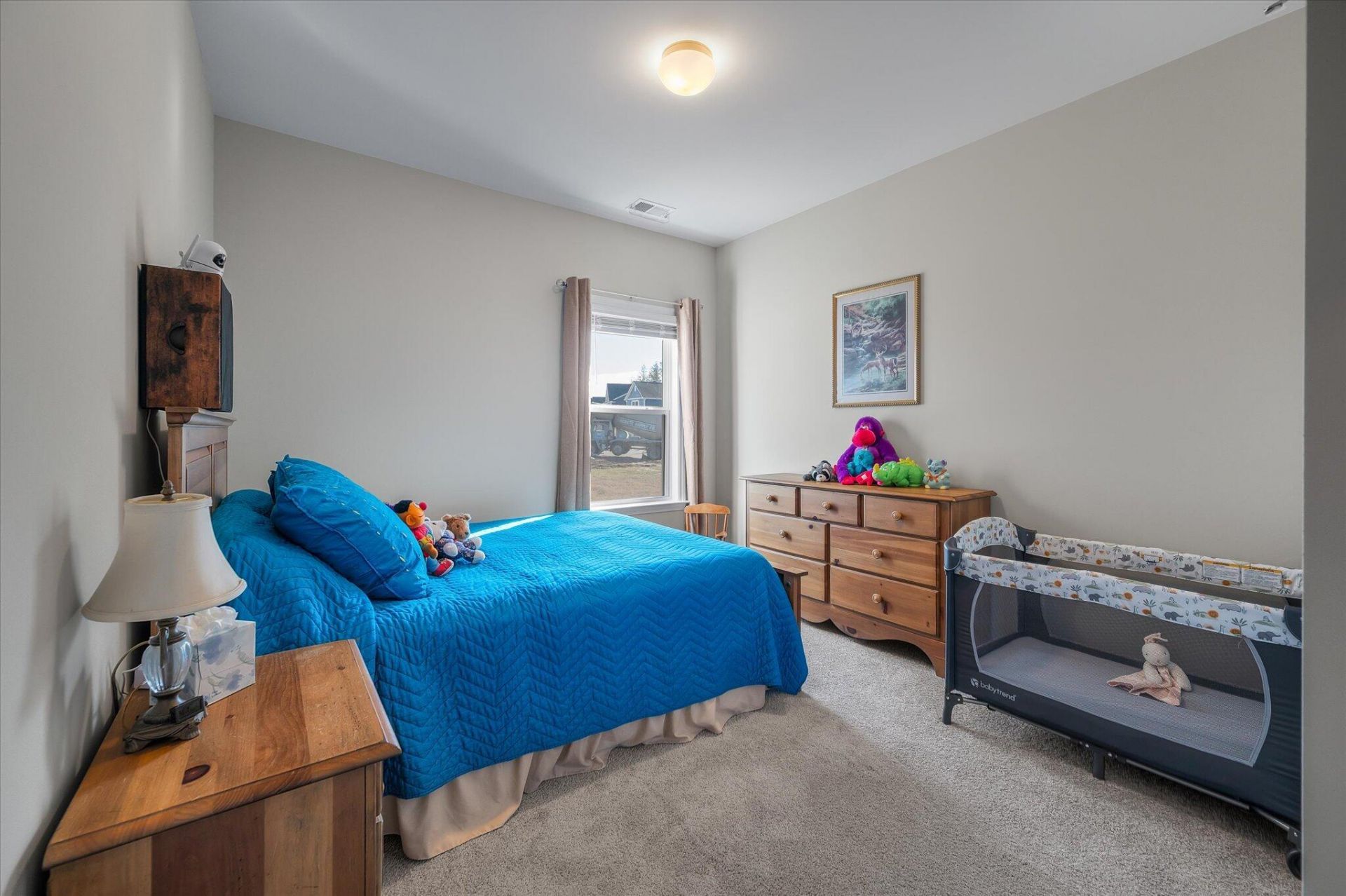 1033 Marsh Harrier Photo 23