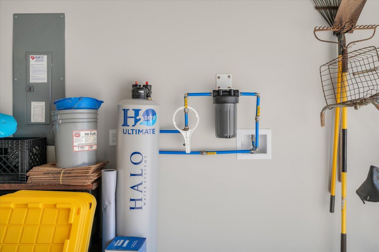 1033 Marsh Harrier Photo 25