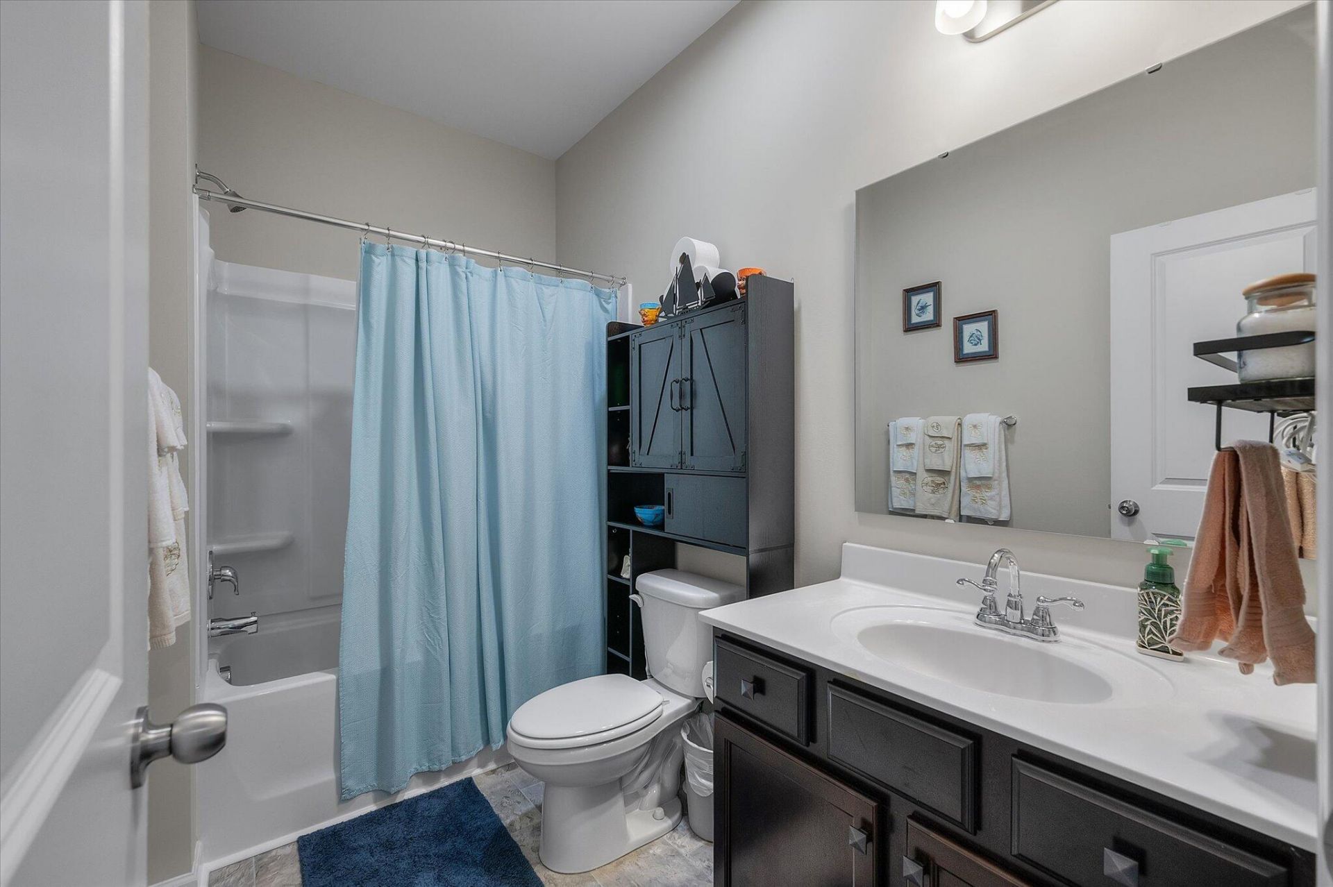 1033 Marsh Harrier Photo 25