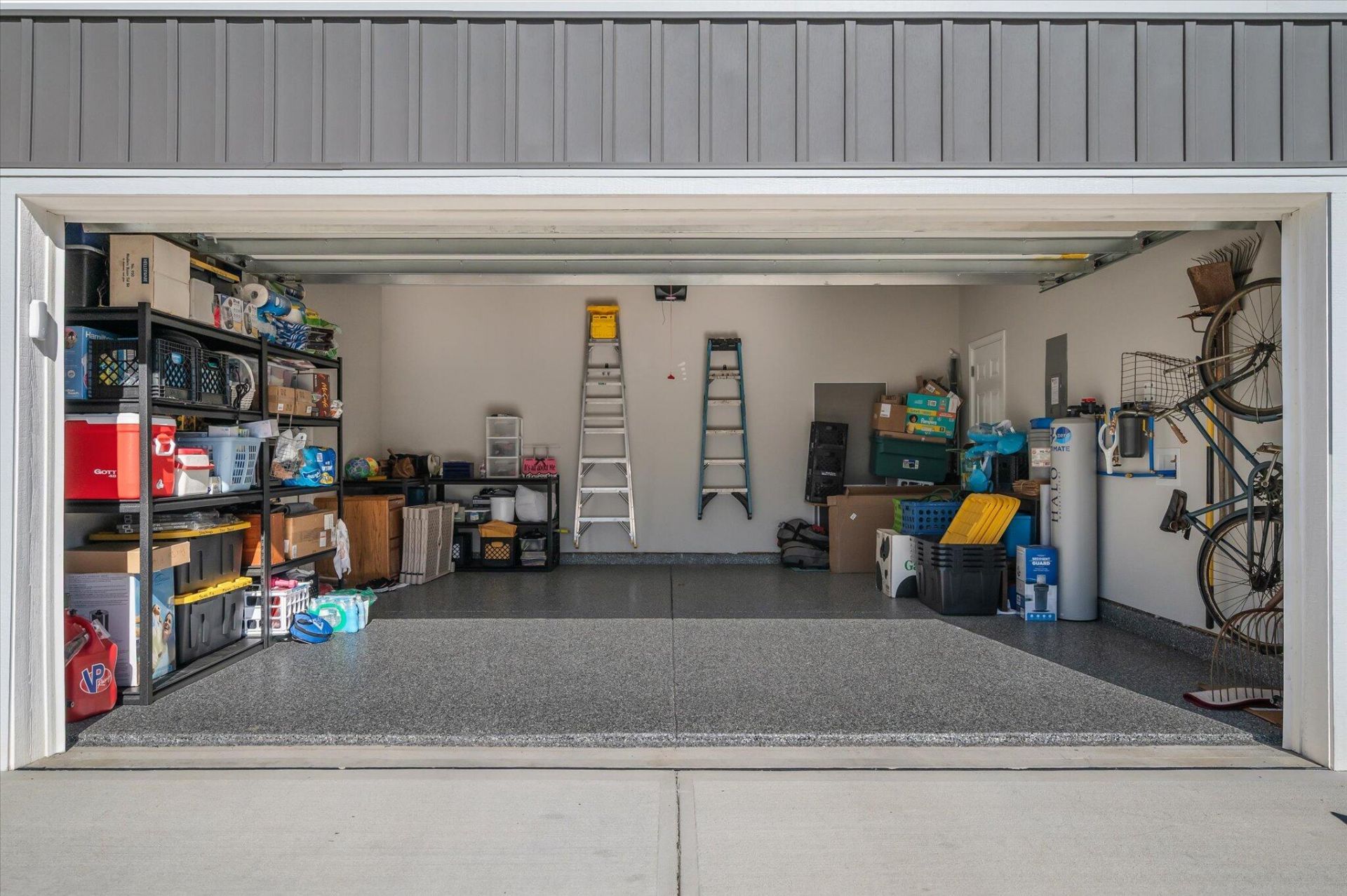 1033 Marsh Harrier Photo 27