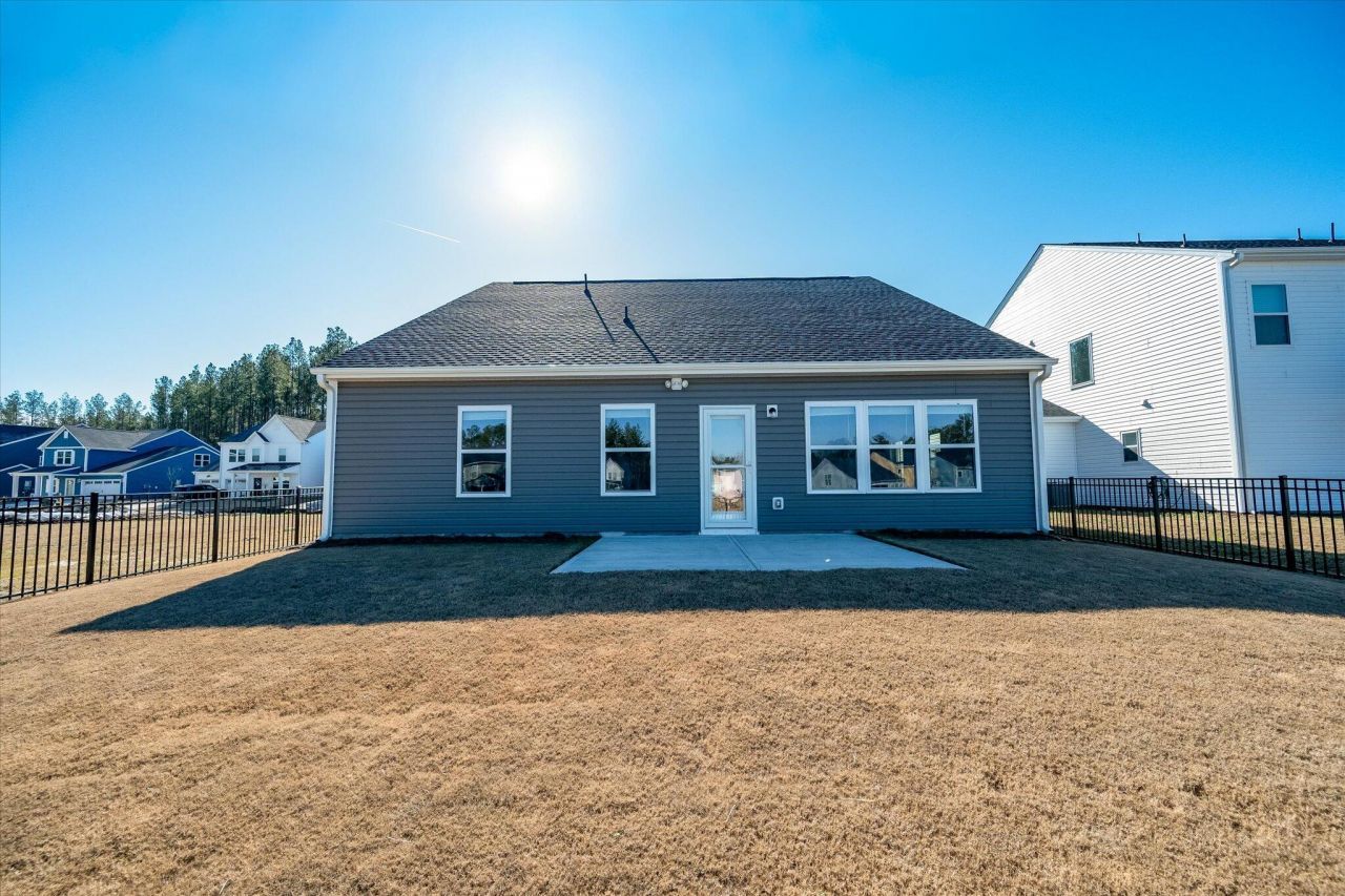 1033 Marsh Harrier Photo 28