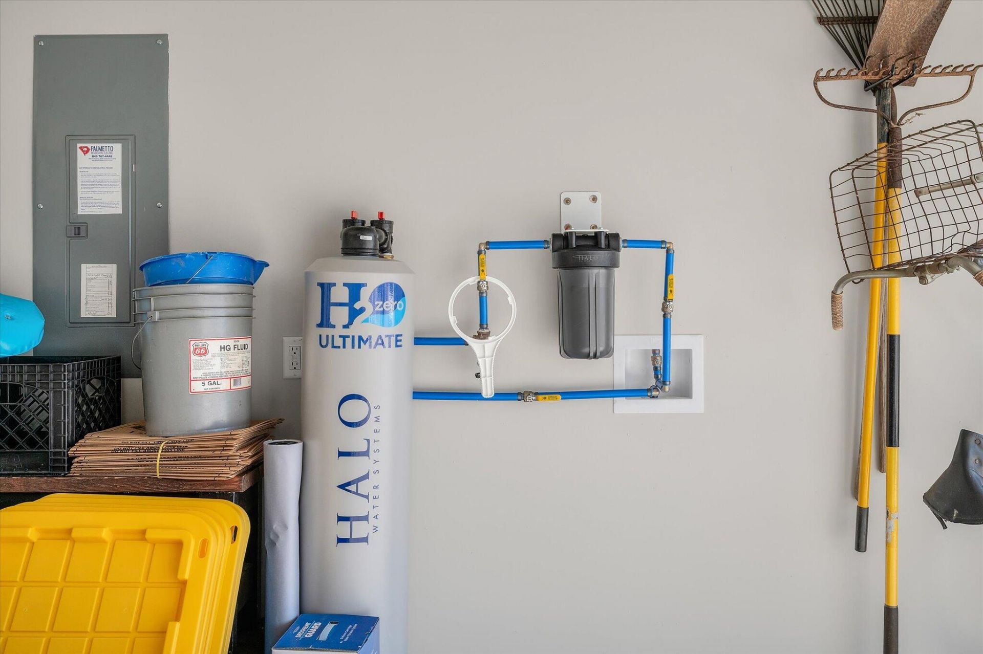 1033 Marsh Harrier Photo 28