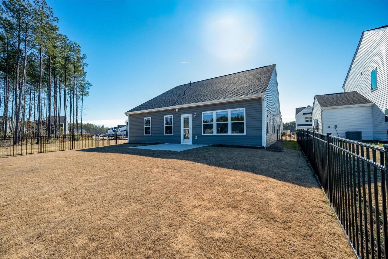 1033 Marsh Harrier Photo 29