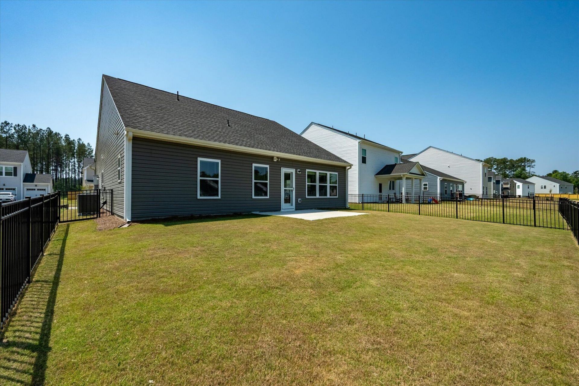 1033 Marsh Harrier Photo 29