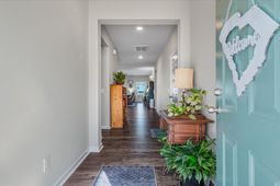 1033 Marsh Harrier photo 4