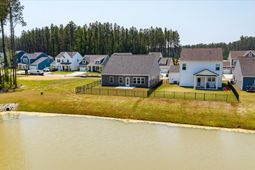 1033 Marsh Harrier photo 4