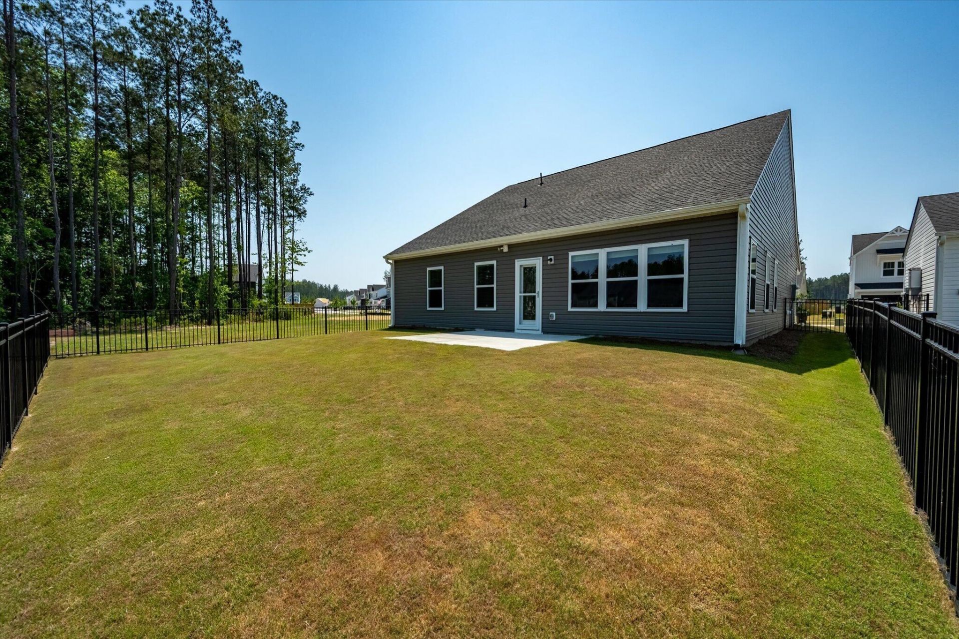 1033 Marsh Harrier Photo 30