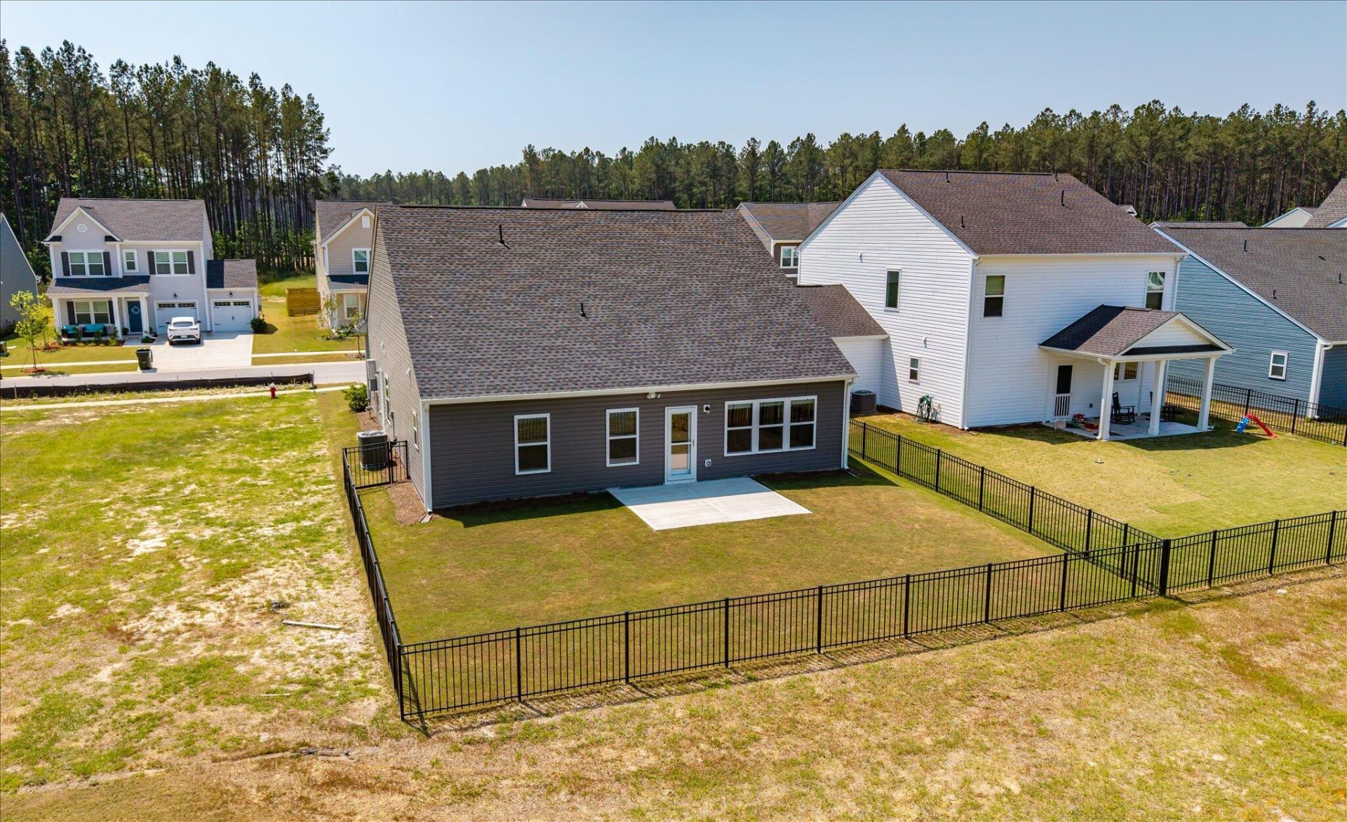 1033 Marsh Harrier Photo 31