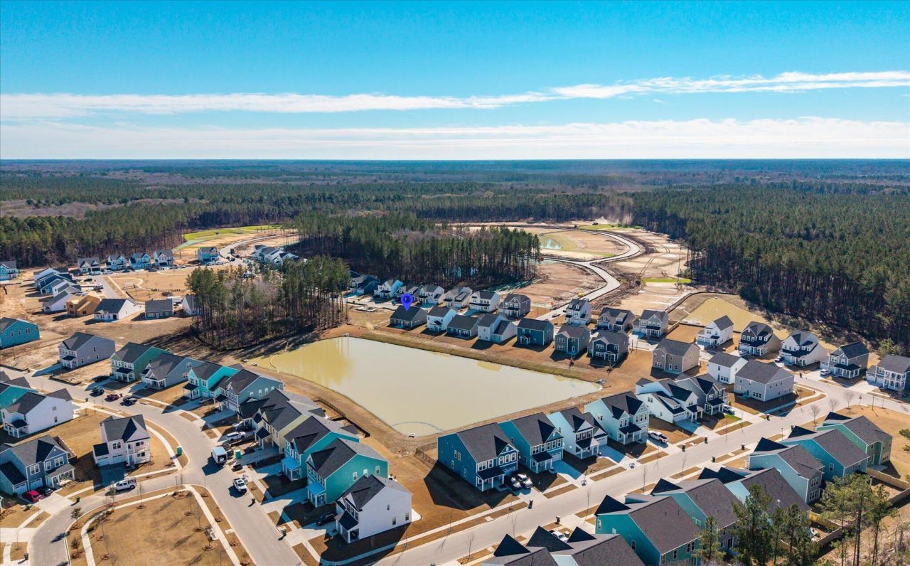 1033 Marsh Harrier Photo 33