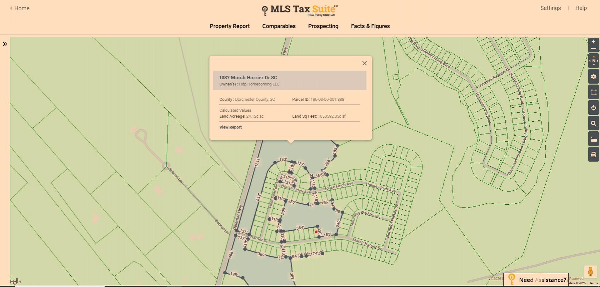 1033 Marsh Harrier Photo 33
