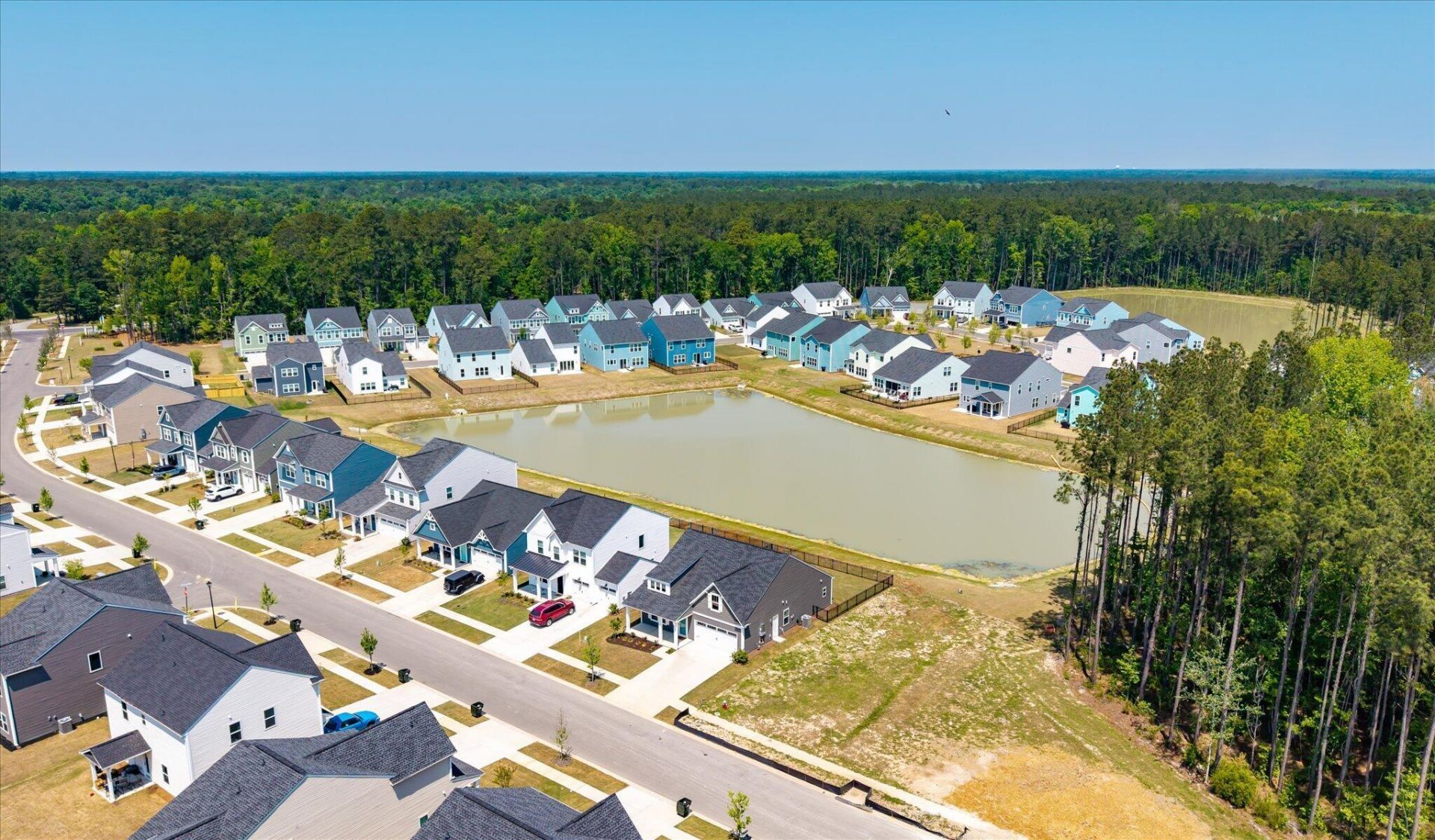 1033 Marsh Harrier Photo 34