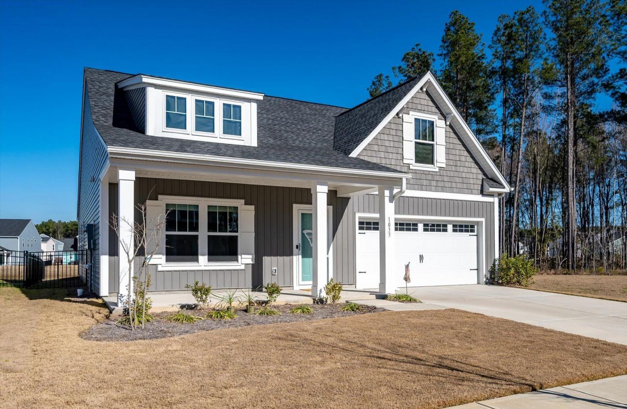 1033 Marsh Harrier Photo 35