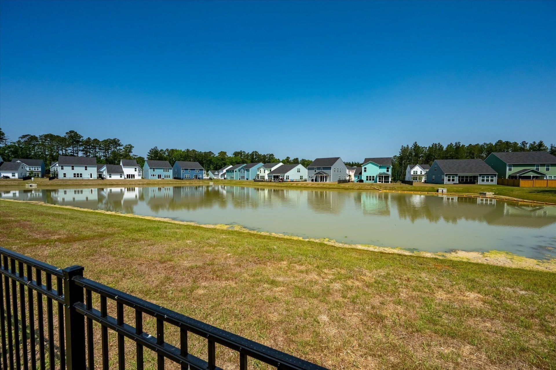 1033 Marsh Harrier Photo 36