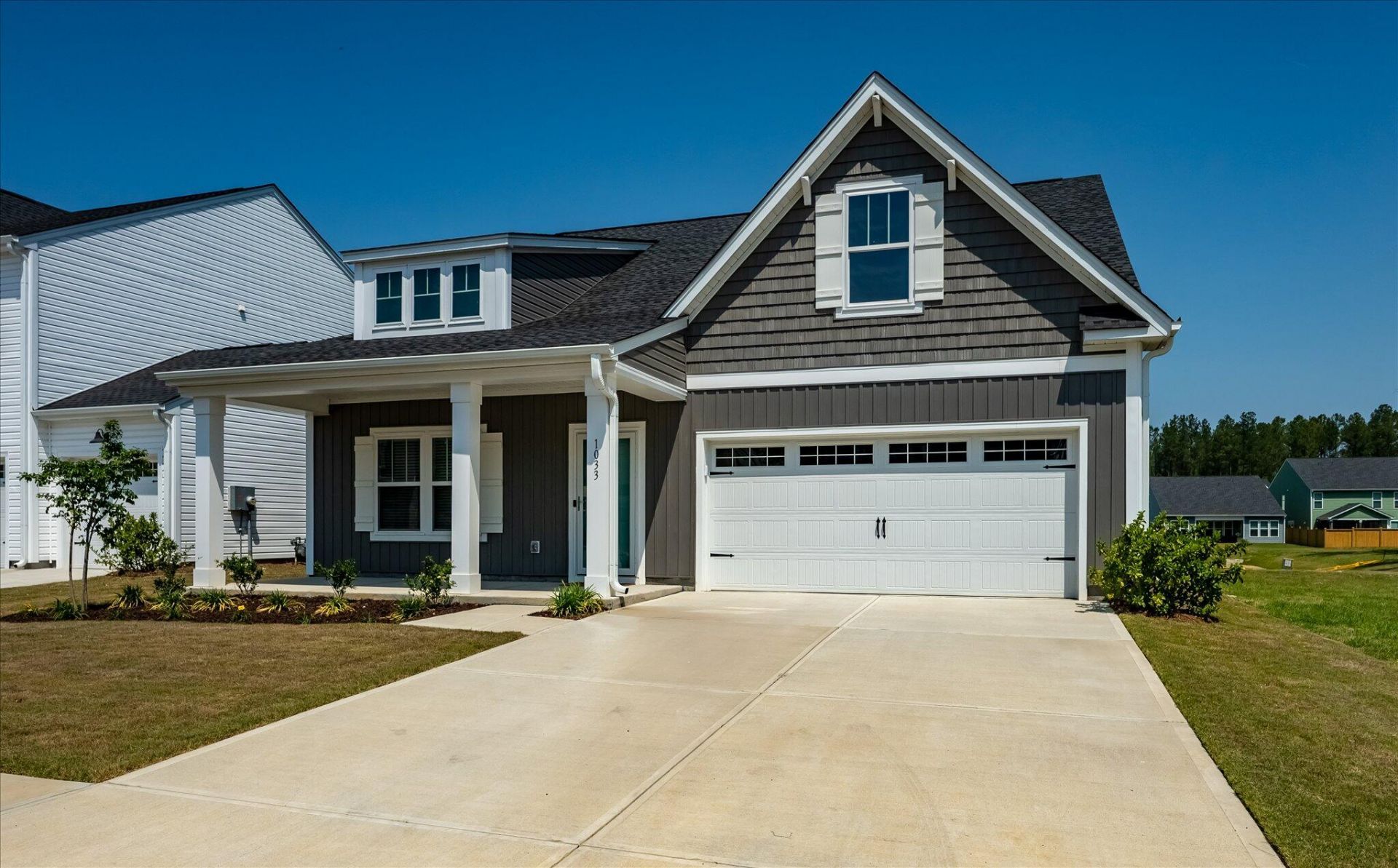 1033 Marsh Harrier Photo 37