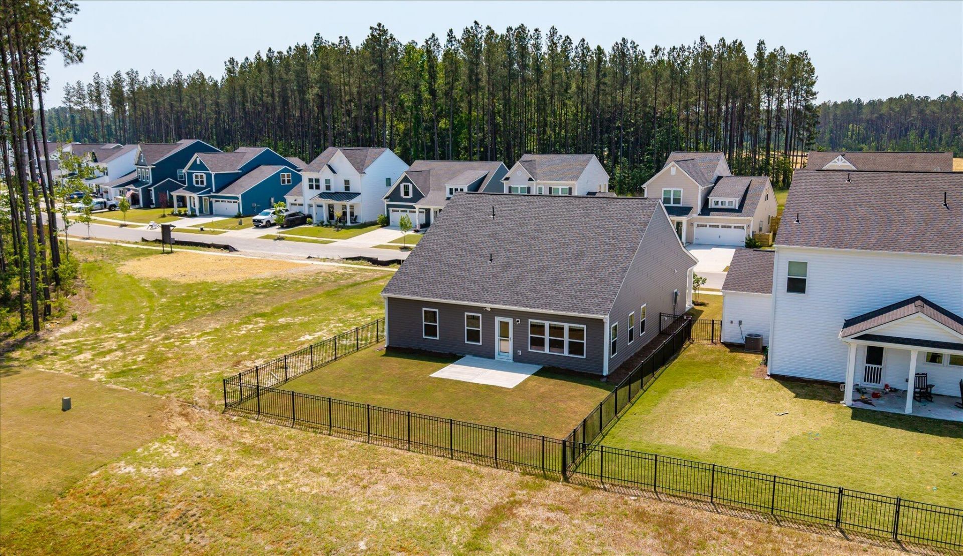 1033 Marsh Harrier Photo 39