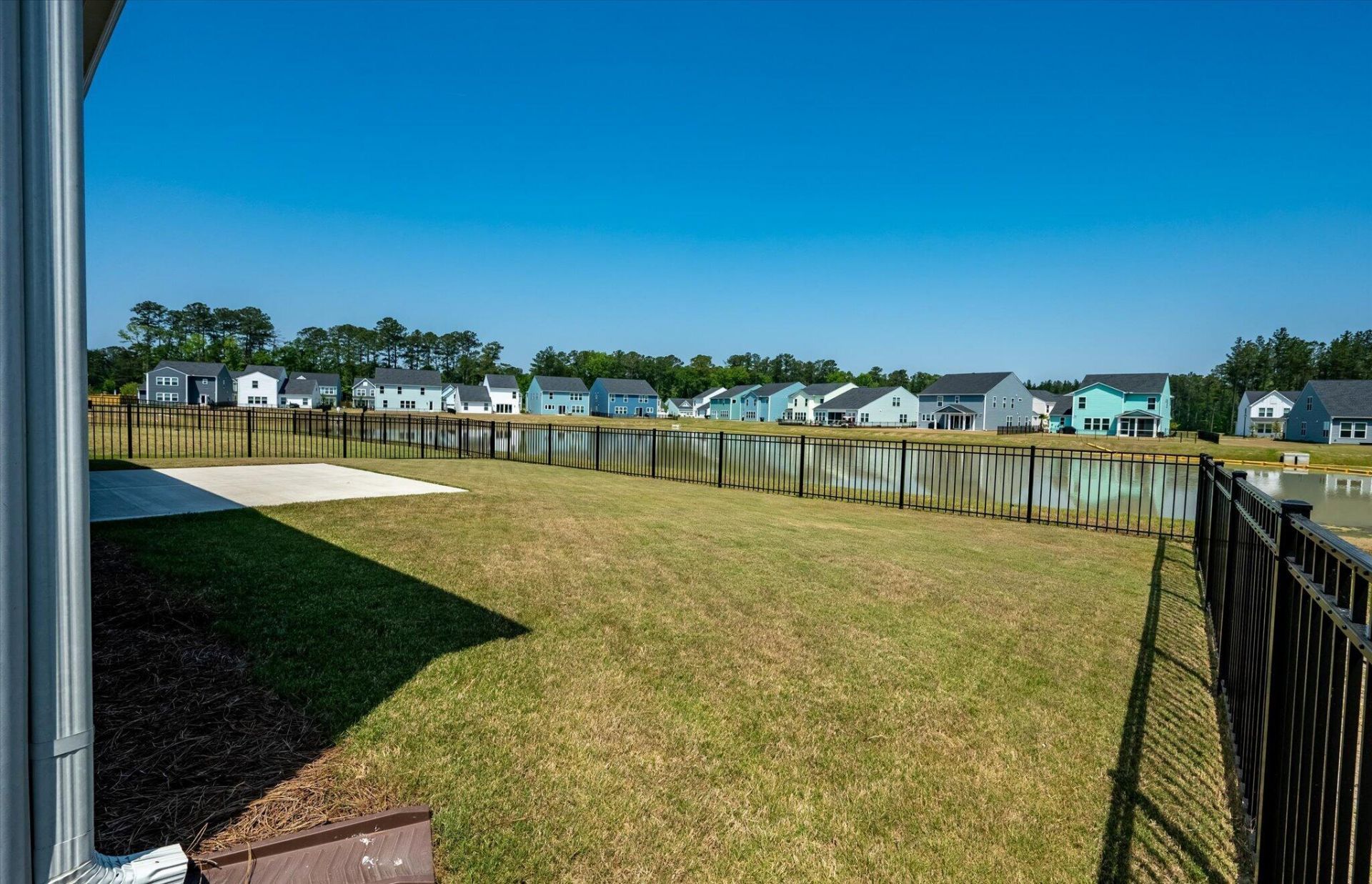 1033 Marsh Harrier Photo 4