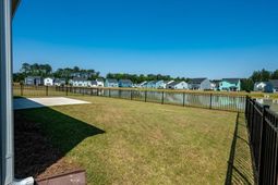 1033 Marsh Harrier photo 4