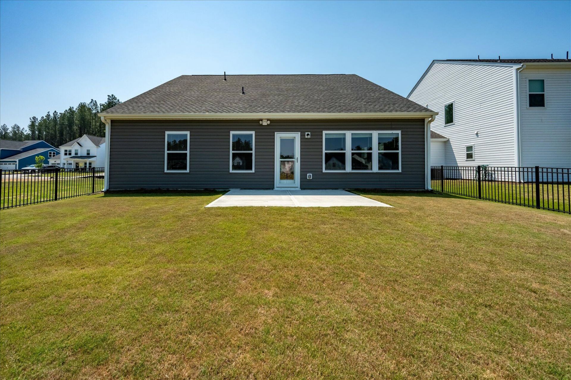 1033 Marsh Harrier Photo 40