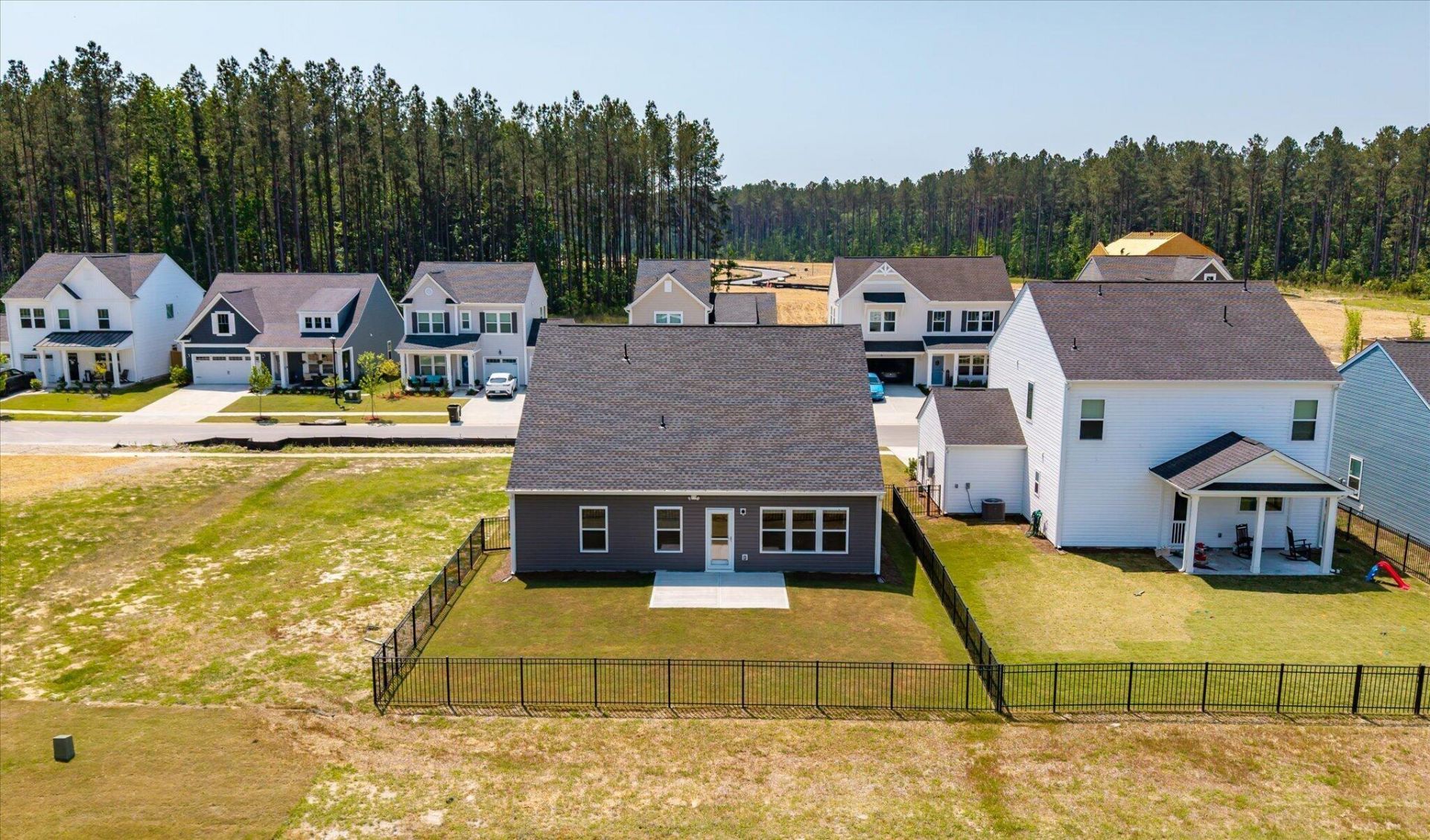 1033 Marsh Harrier Photo 41
