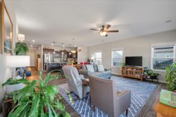 1033 Marsh Harrier photo 4