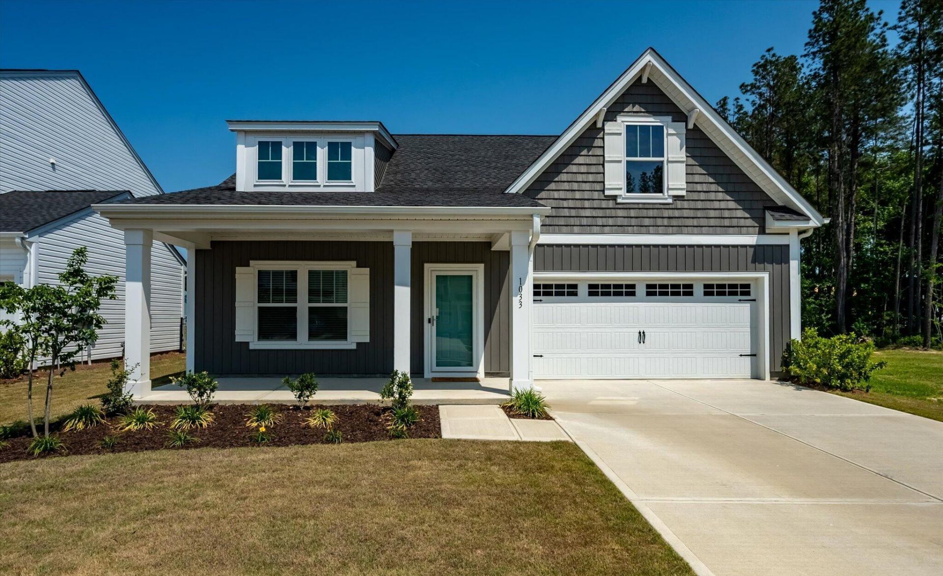 1033 Marsh Harrier Photo 5