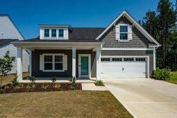 1033 Marsh Harrier photo 4