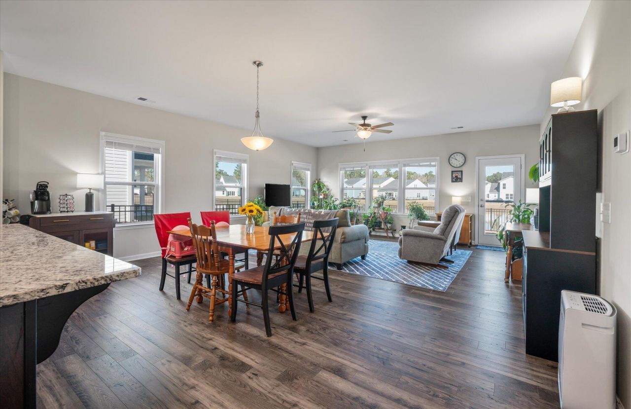 1033 Marsh Harrier Photo 7