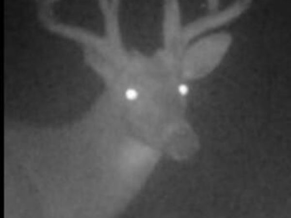 V/L Cade RD Road, Capac, MI 48014