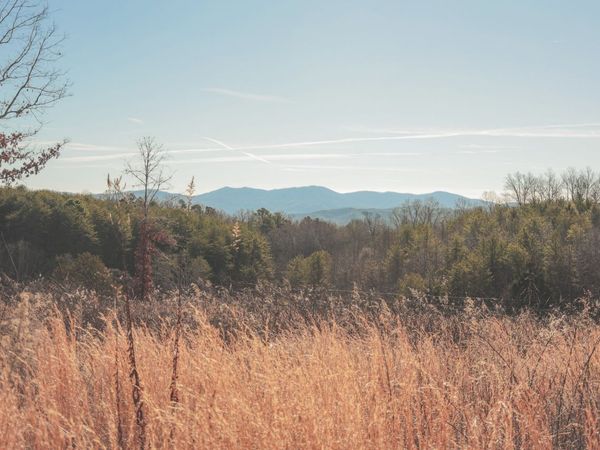 0 Curtis Road , Tellico Plains, TN 37385