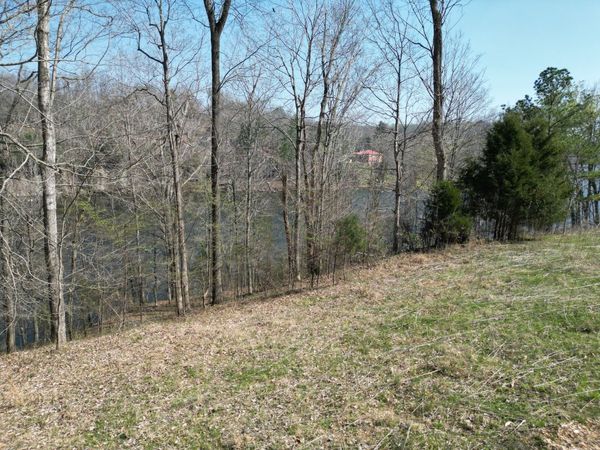 0 Canyon Run Rd, Unit 91, Lewisburg, KY 42256