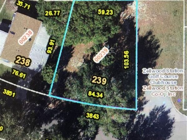 3843 N CITRUS CIRCLE, Unit 239, ZELLWOOD, FL 32798