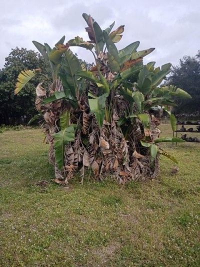 17345 NW 18th Avenue, Miami Gardens, FL 33056 Photo