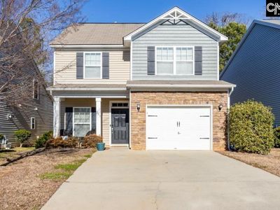 233 Jackstay Court , Chapin, SC 29036