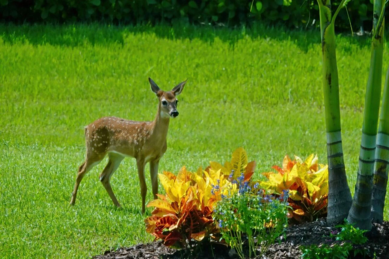 27064 SW Viterbo Way, Port Saint Lucie, FL 34986 Photo