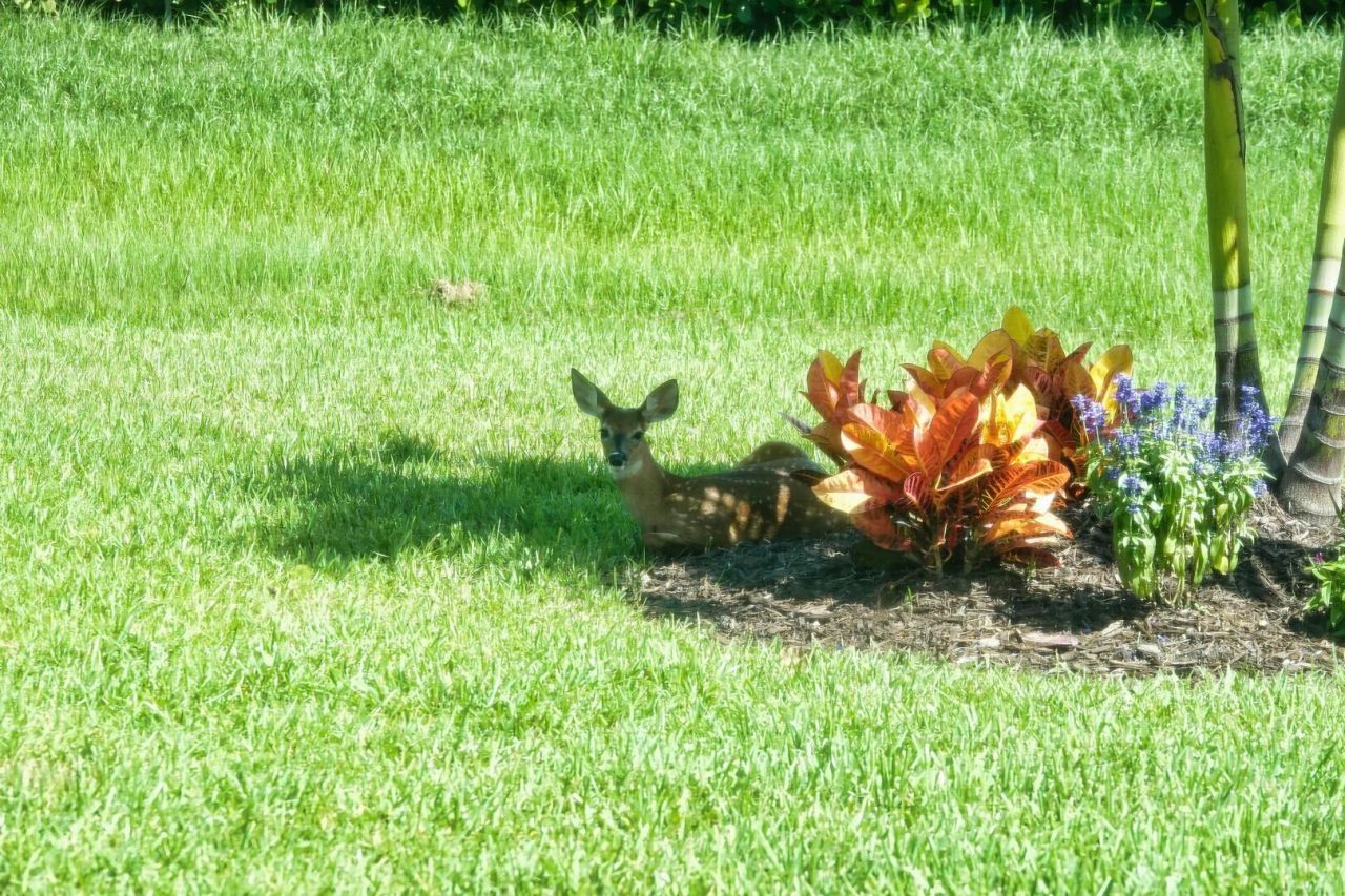 27064 SW Viterbo Way, Port Saint Lucie, FL 34986 Photo