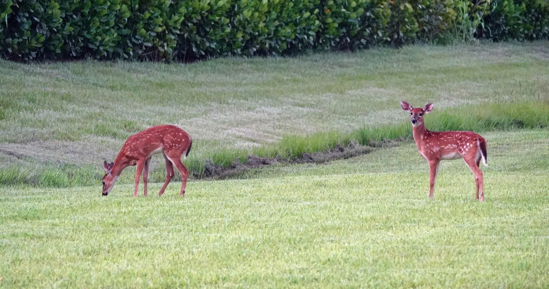 27064 SW Viterbo Way, Port Saint Lucie, FL 34986 Photo