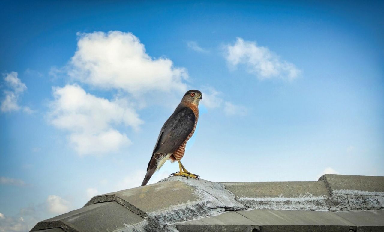 27064 SW Viterbo Way, Port Saint Lucie, FL 34986 Photo