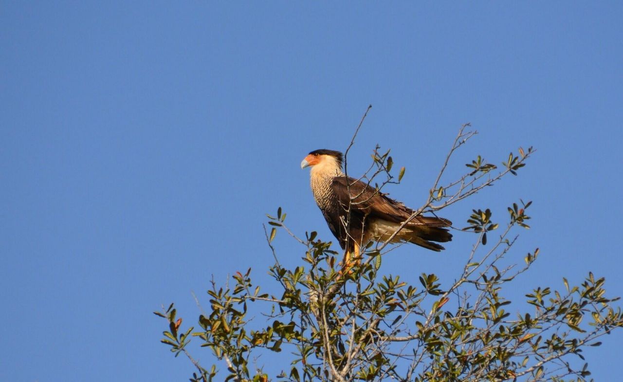 27064 SW Viterbo Way, Port Saint Lucie, FL 34986 Photo