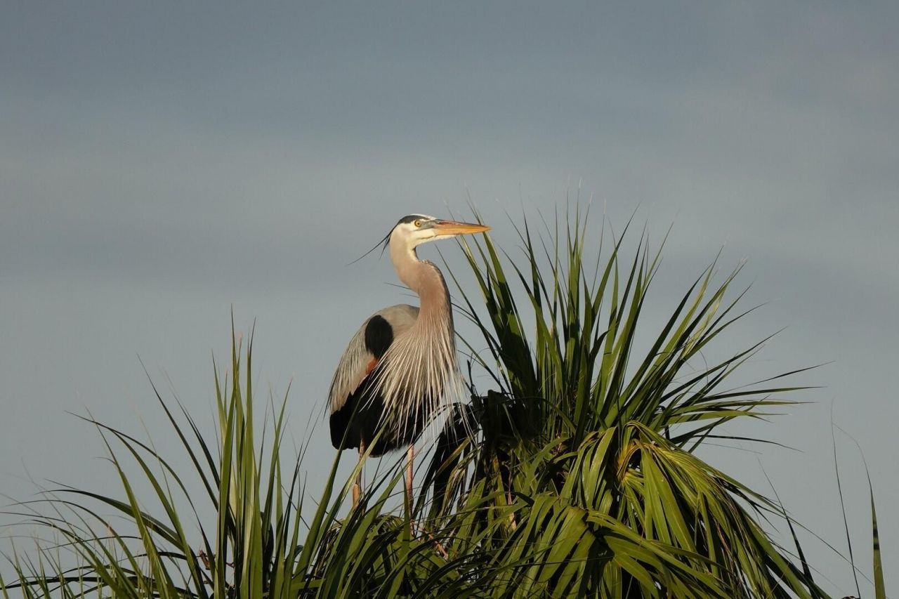 27064 SW Viterbo Way, Port Saint Lucie, FL 34986 Photo