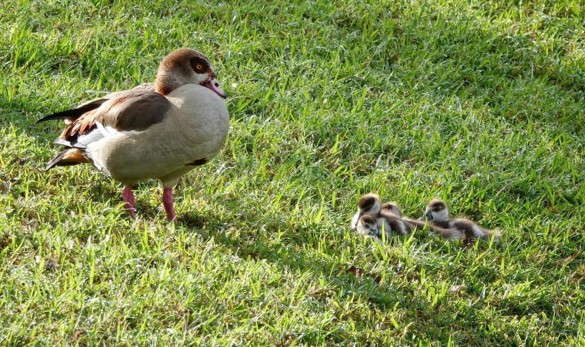 27064 SW Viterbo Way, Port Saint Lucie, FL 34986 Photo