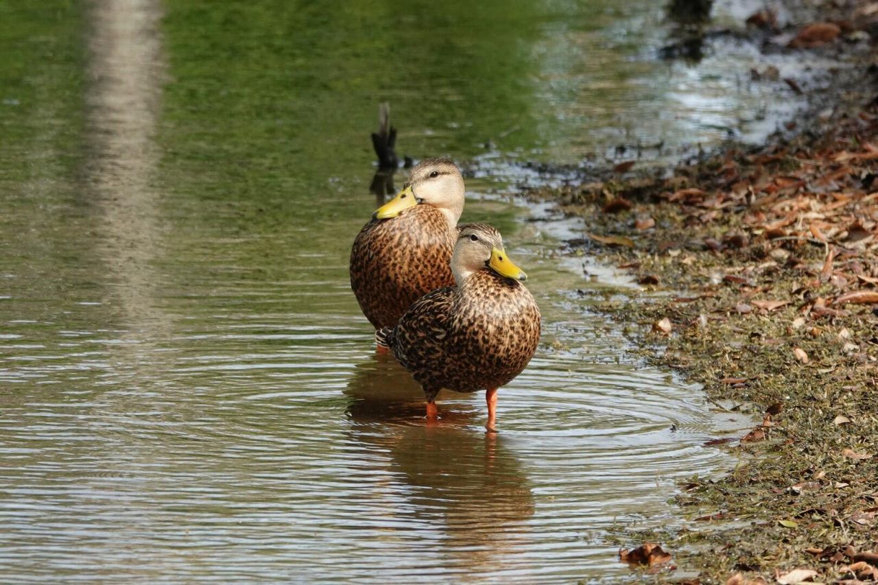 27064 SW Viterbo Way, Port Saint Lucie, FL 34986 Photo