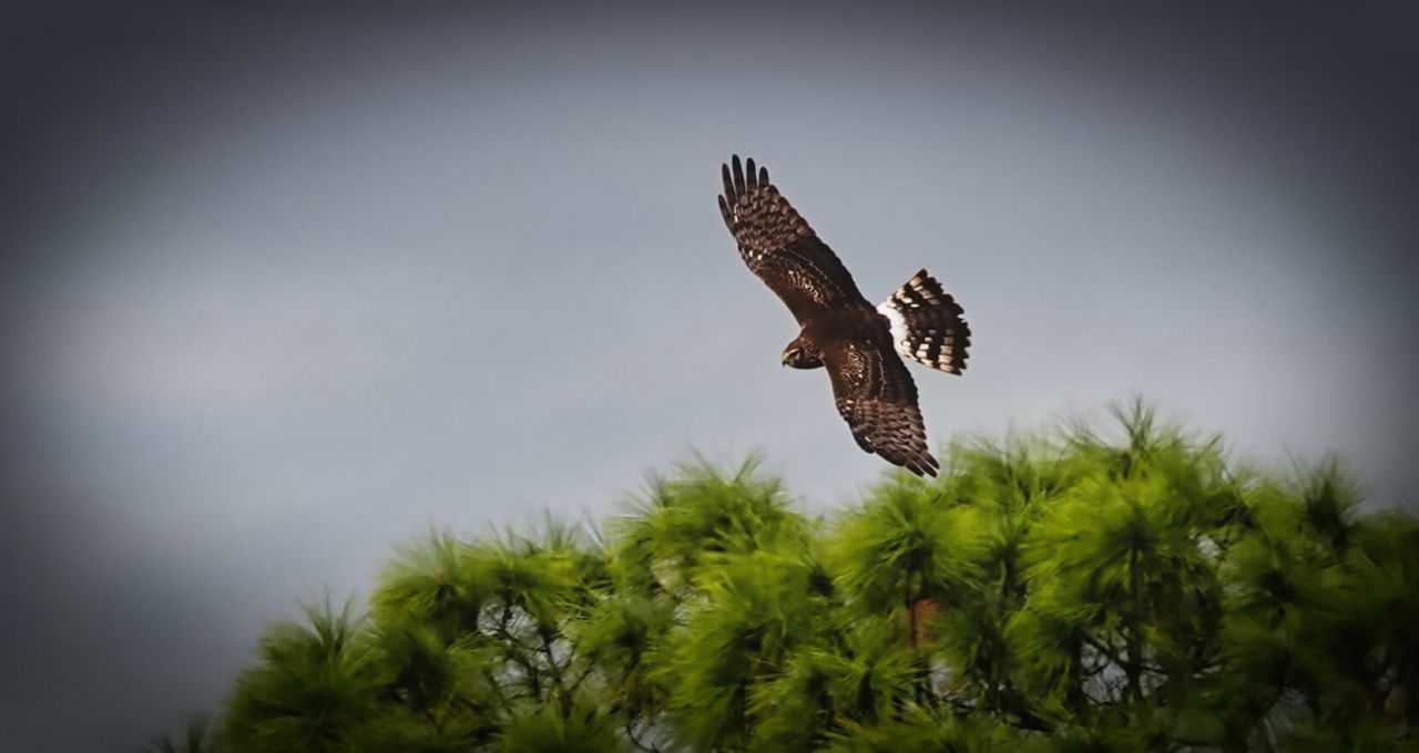 27064 SW Viterbo Way, Port Saint Lucie, FL 34986 Photo