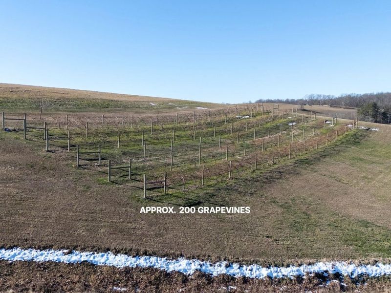 0 Four Mile Road, Jackson, OH 45640 Photo 7